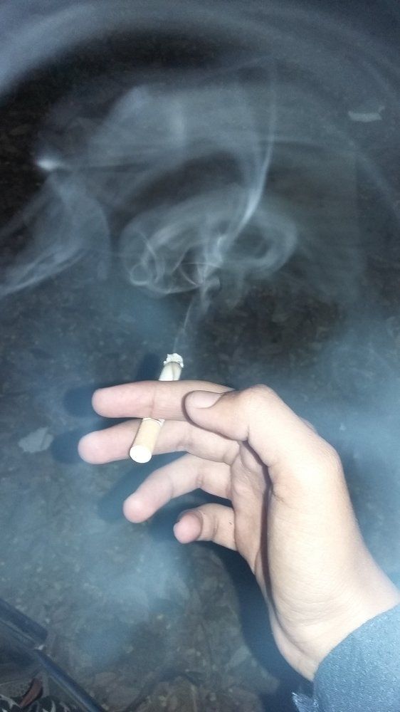 Photo #1561813