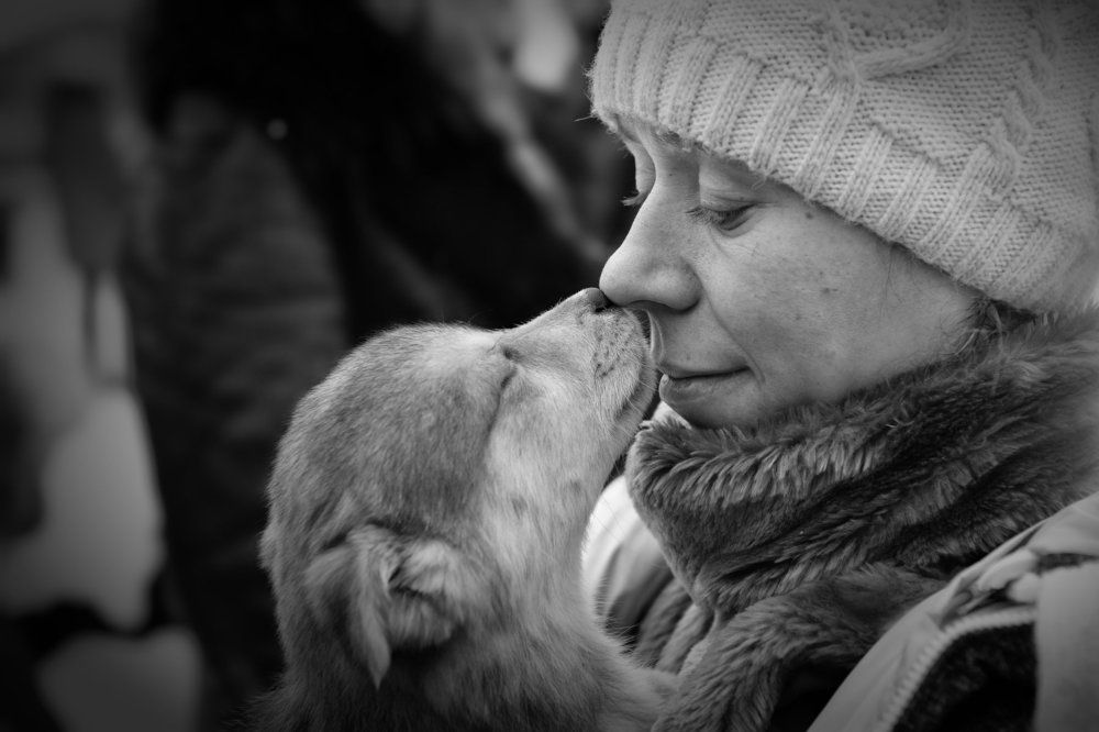 Благодарность