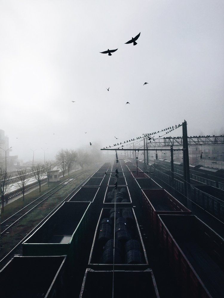Зимний туман.