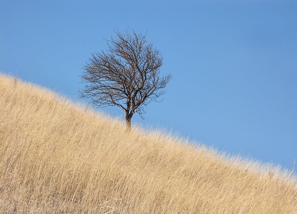 Photograph by Данил Мандрыгин