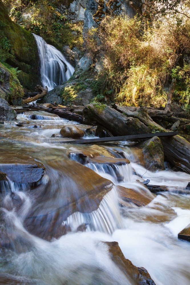 Чоодор, Чодор, Чидор, Чодур, Чедор...