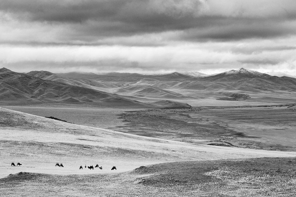 В долине реки Кокоря.