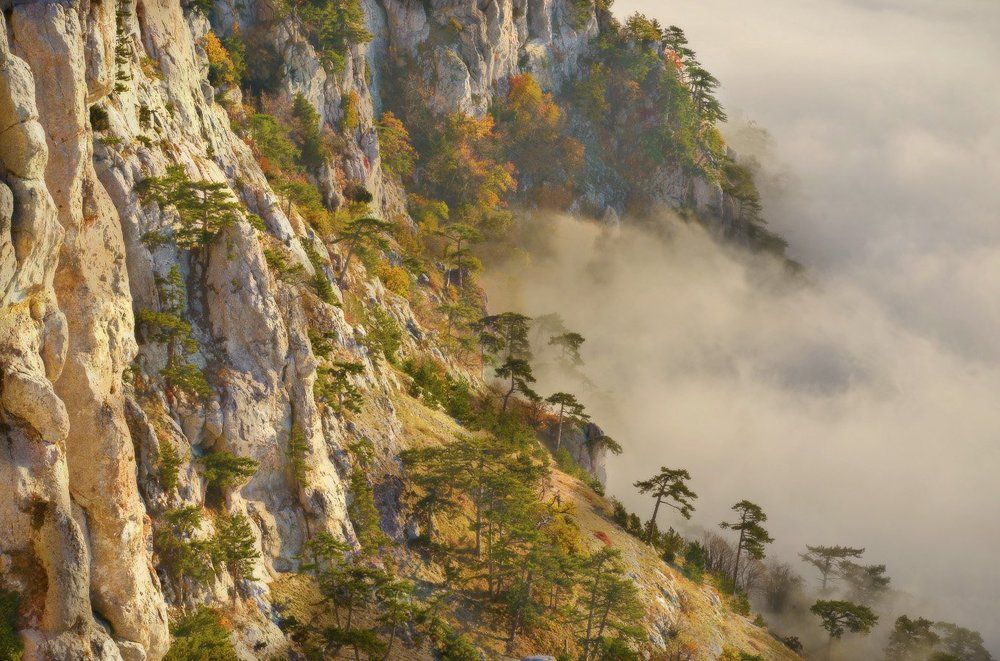 В полосе прибоя