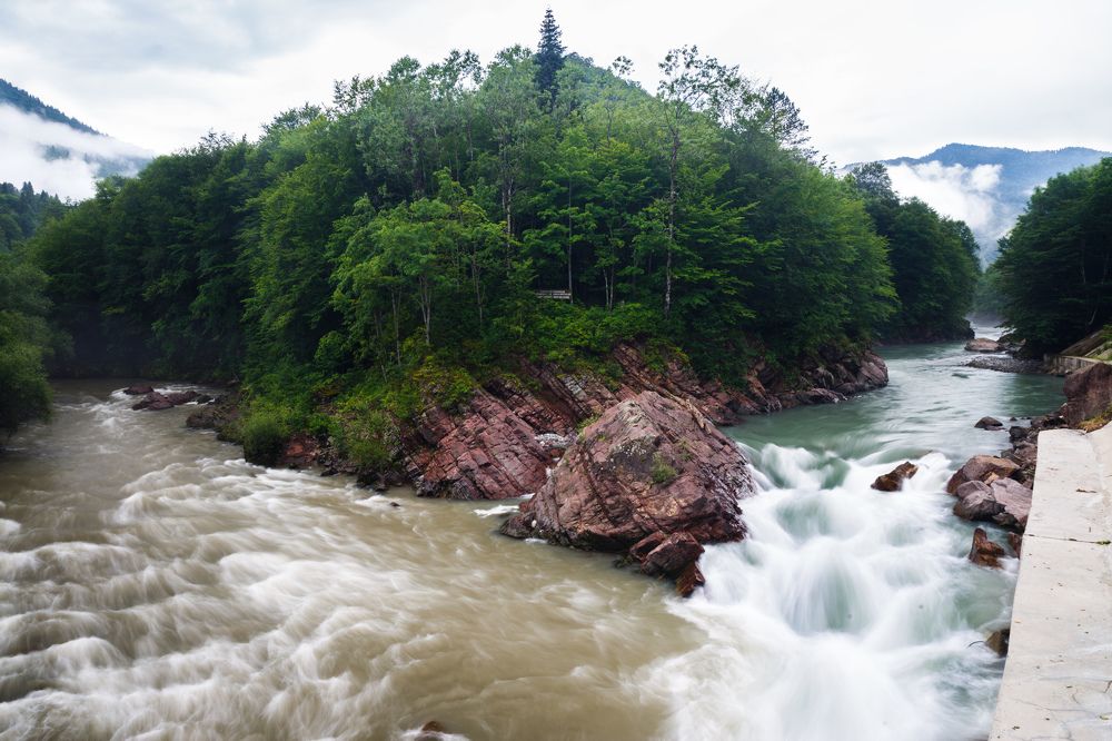 Свежая кровь