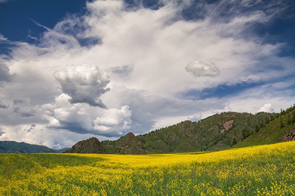 Всё ещё впереди. Июнь.