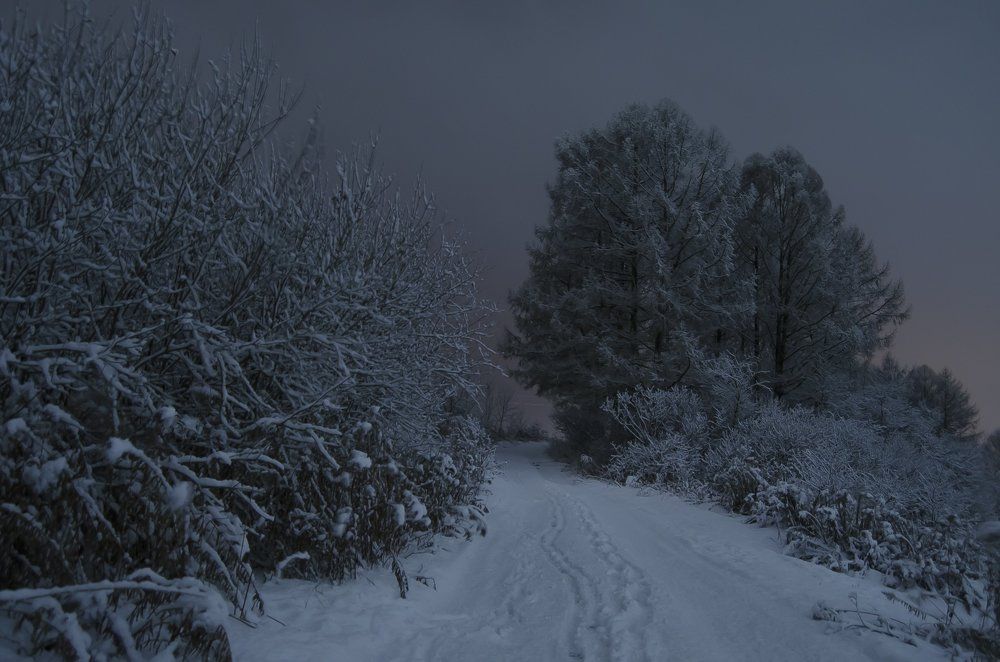 Серебро декабря