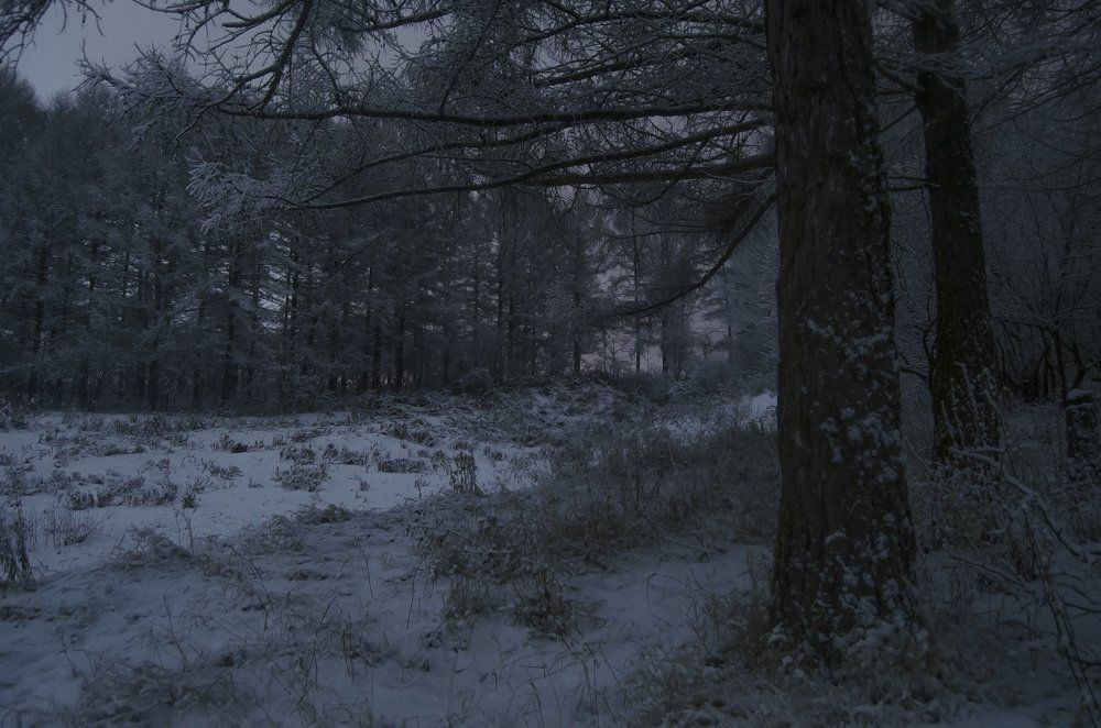 Серебро декабря