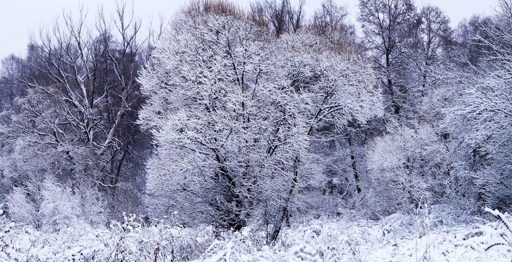 Зимняя сказка за один день