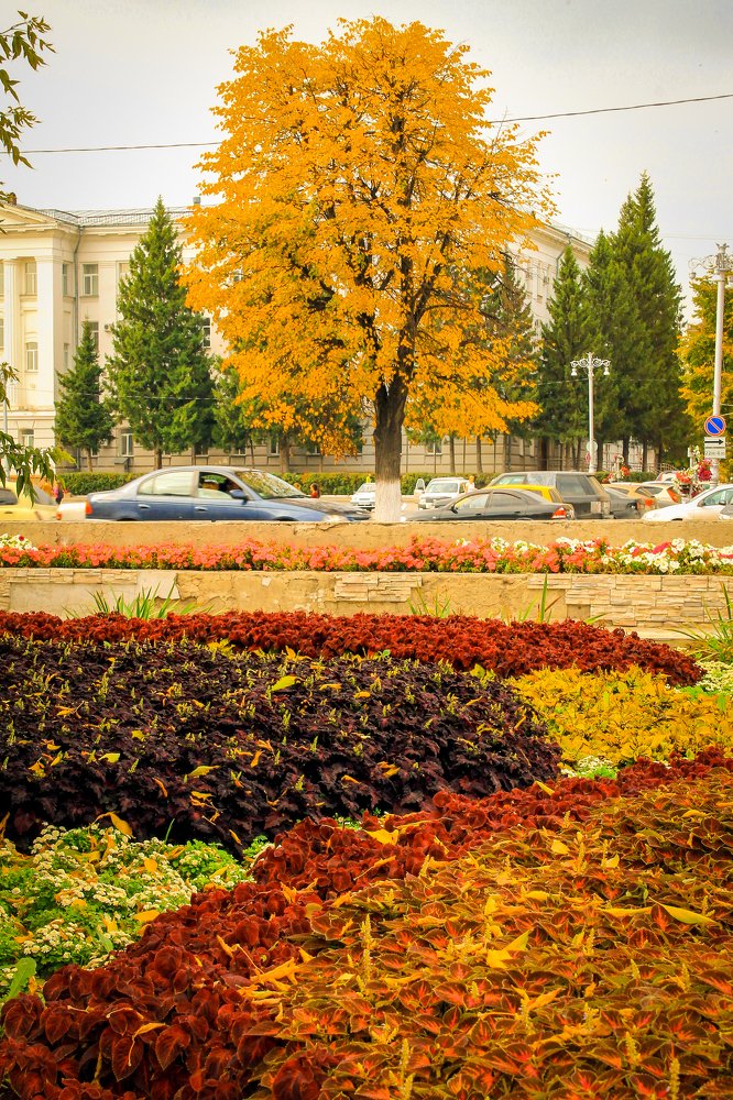 Краски осени