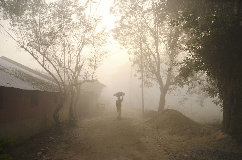 A Cold Winter Morning