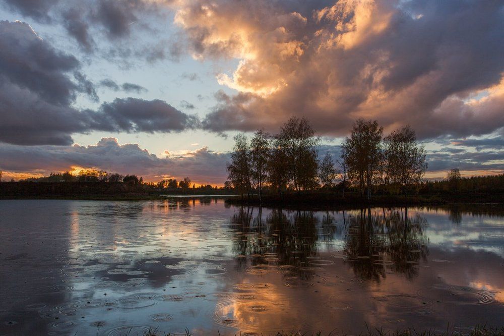 Линия дождя