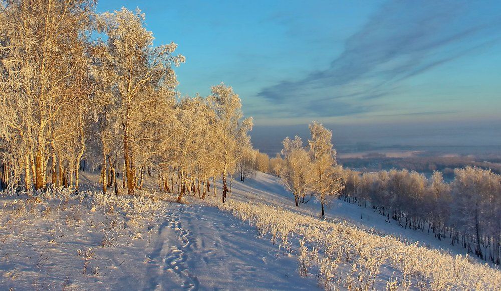 Озарённые солнцем.