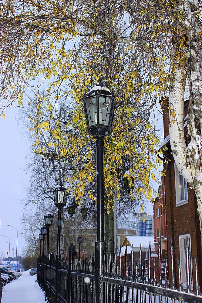 Зимний пейзаж с неопавшей листвой