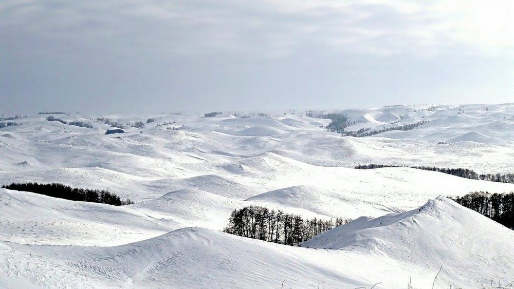 Снежное безмолвие.Зимний пейзаж.