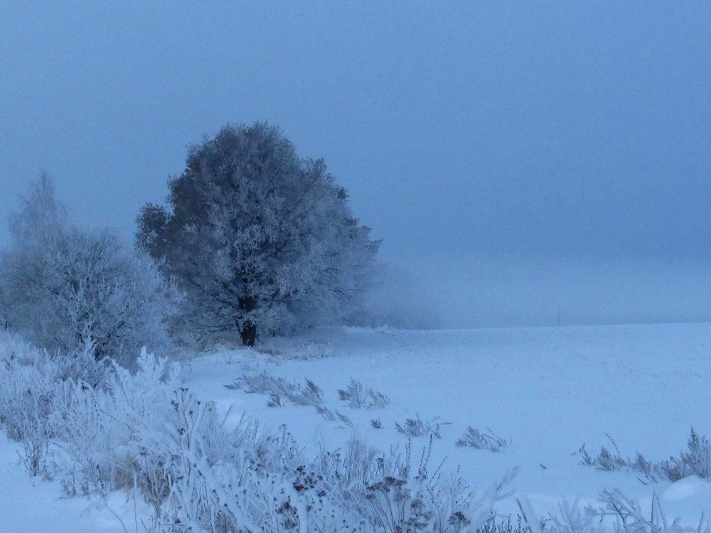 Зимняя сказка