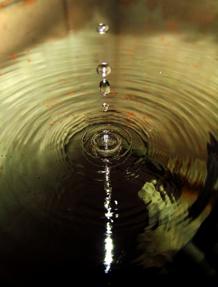 Ripples of Life
