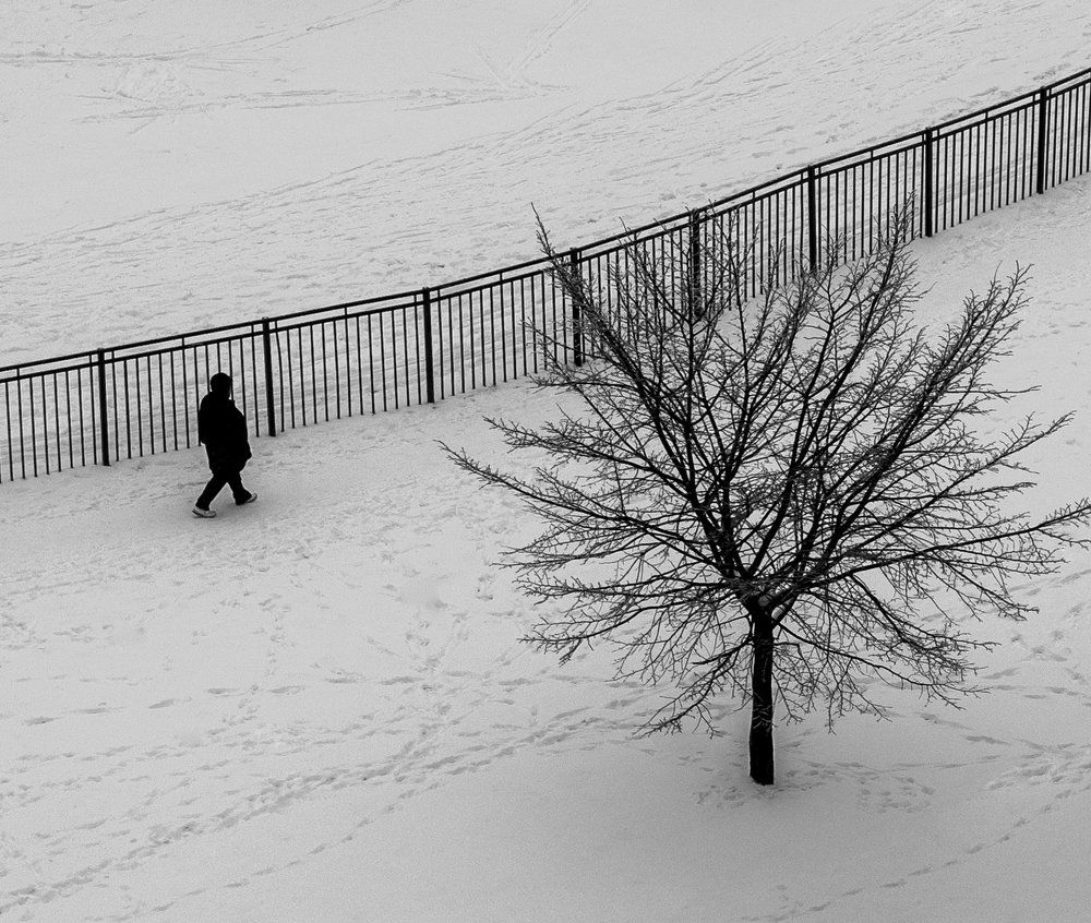 Photograph by Дмитрий Степаненко