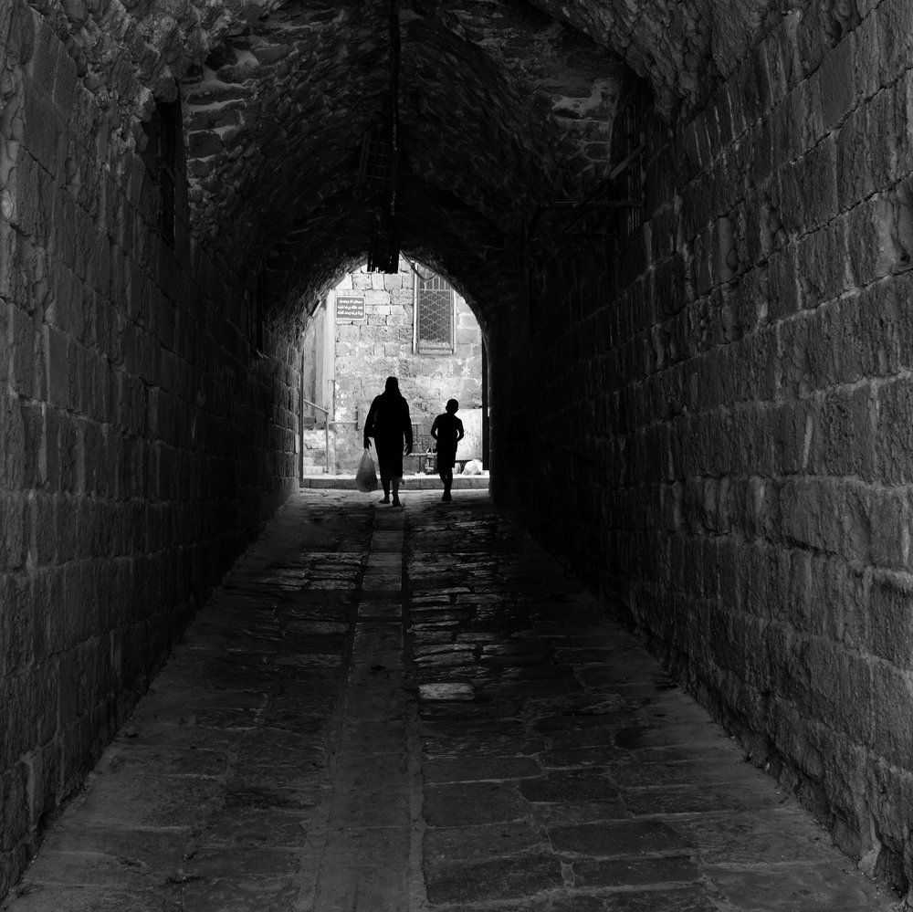 Photograph by Дмитрий Степаненко