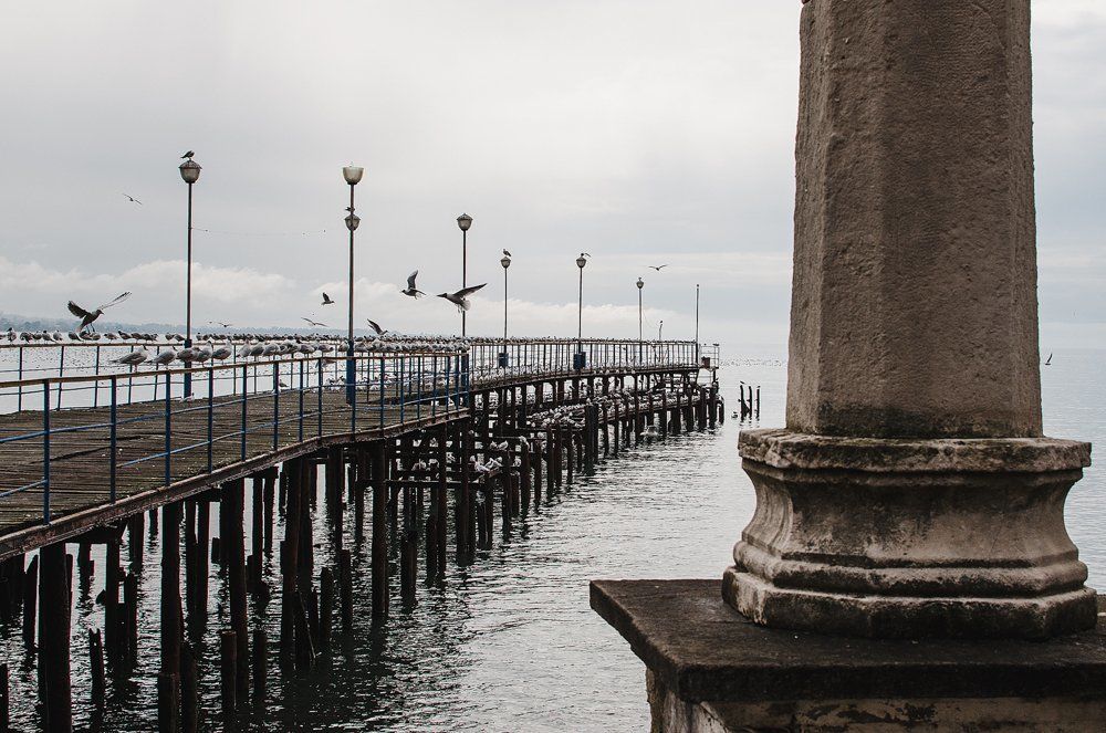 Фотография автора Большаков Илья