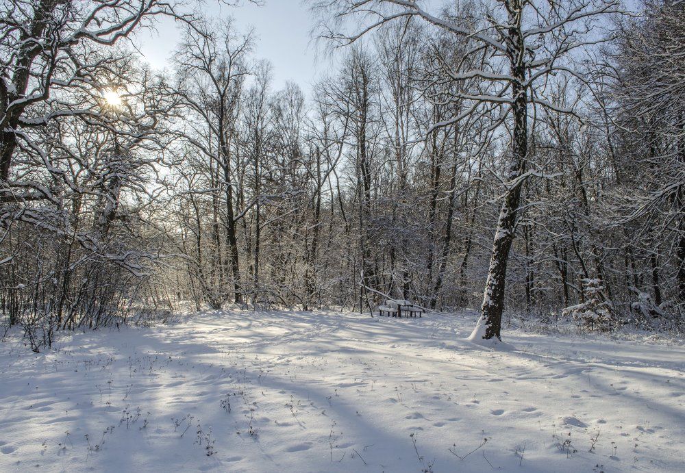 Зимний пейзаж