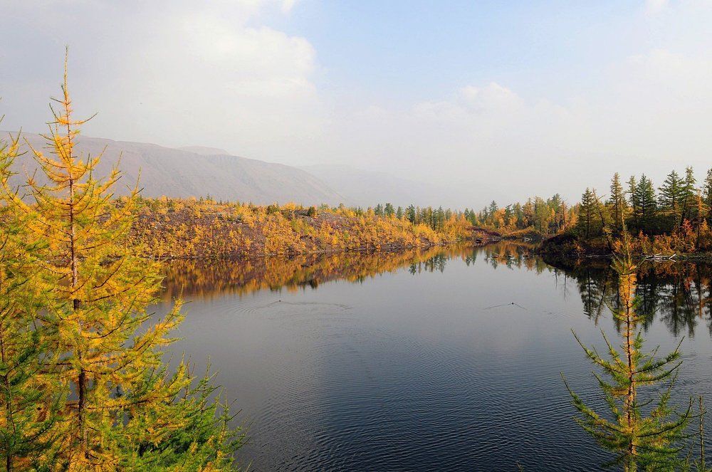 Вот и осень наступила