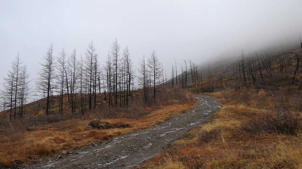 Дорога в облака