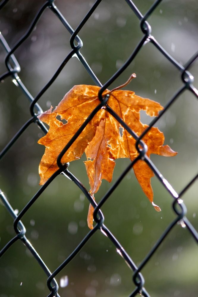 Photograph by Rouslan Chernyshev