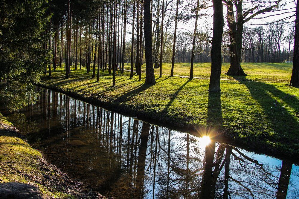 Тени Царского села.