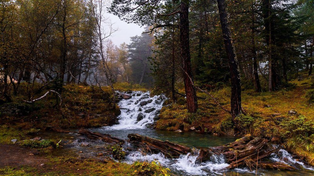 Ручьи Софийской долины