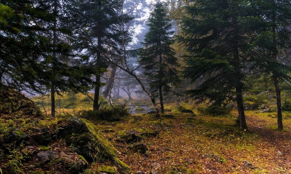 Дебри Софийской долины