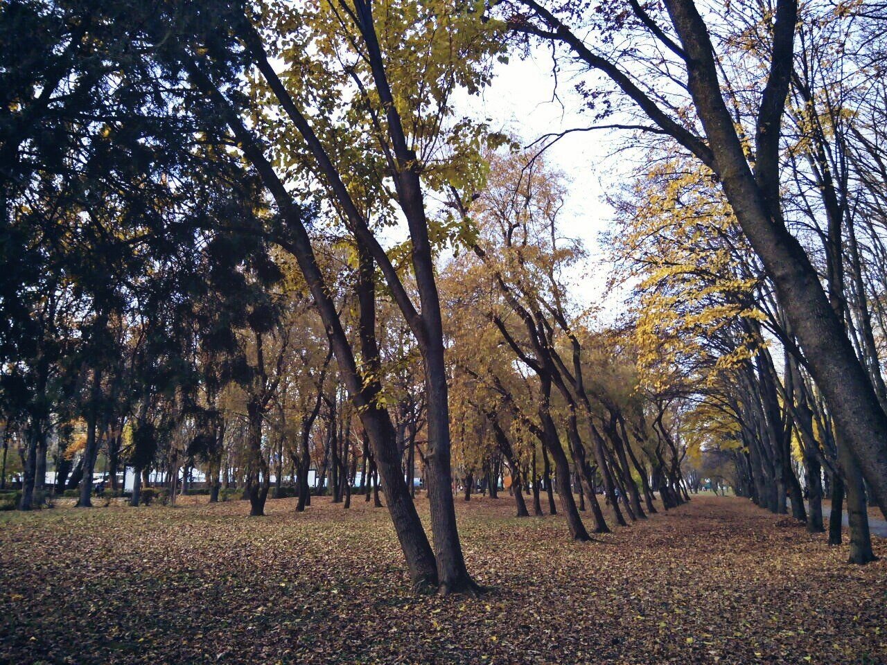Южная осень