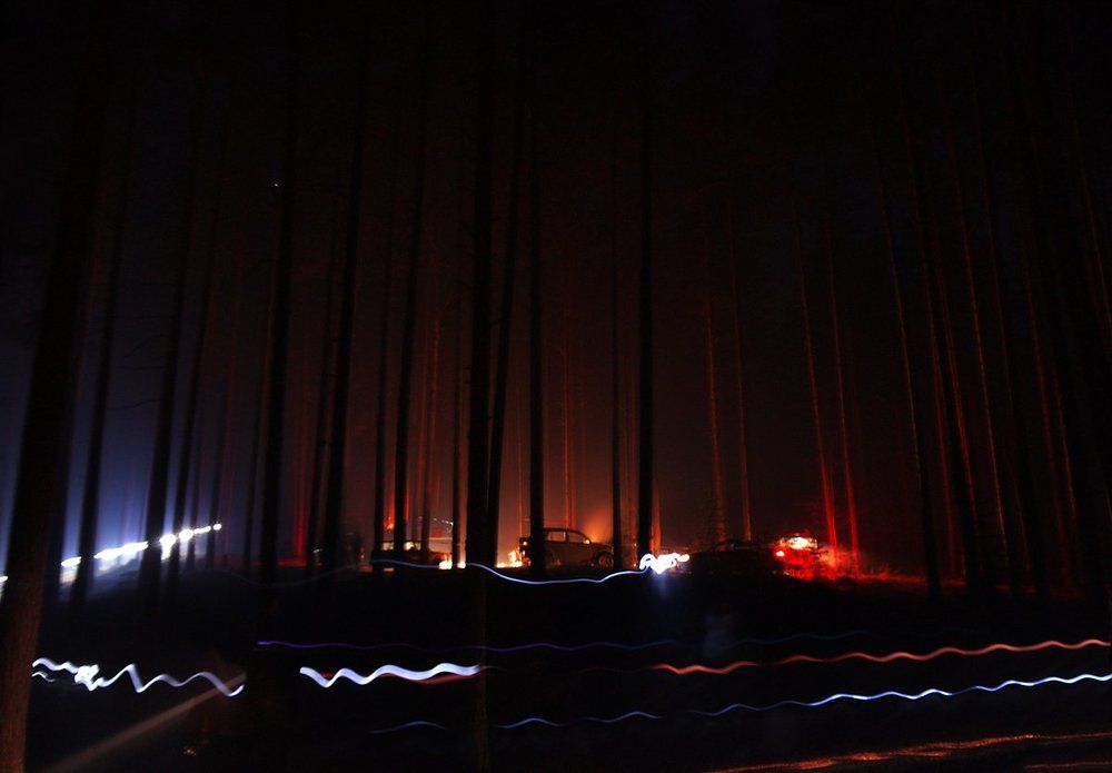 Лесные огоньки