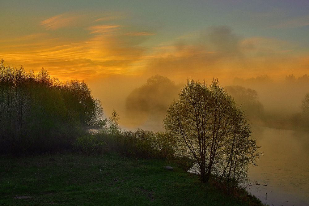 Утро. Туман. Река. Рассвет.