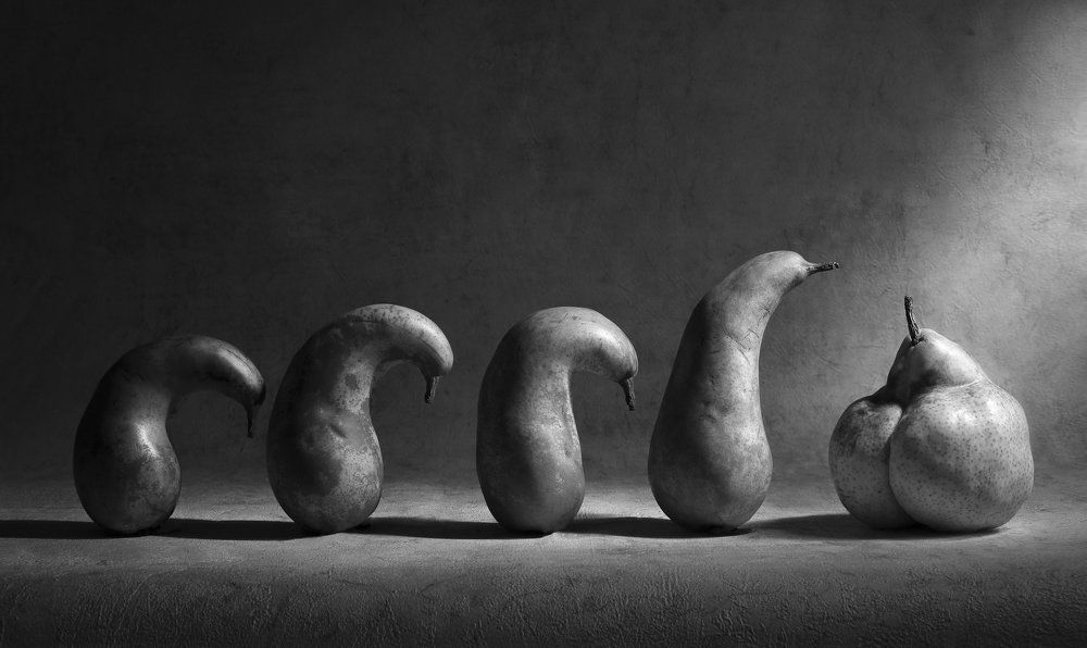 Homo fastfoodus. New evolution