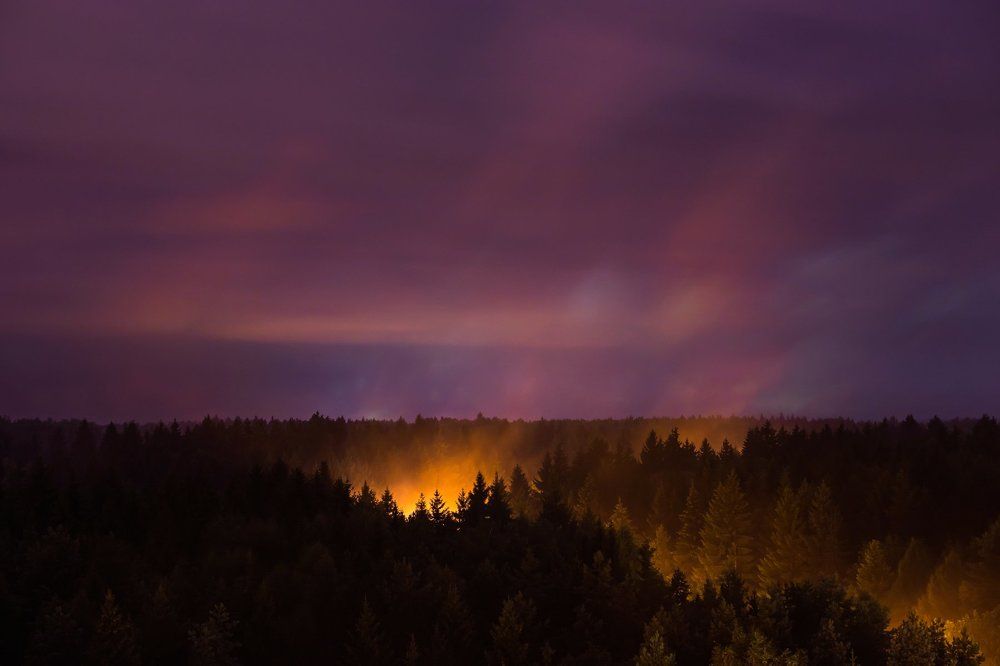 "Огонь" после дождя.