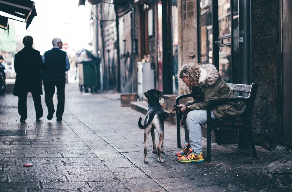 Photograph by Rivkin Vladislav