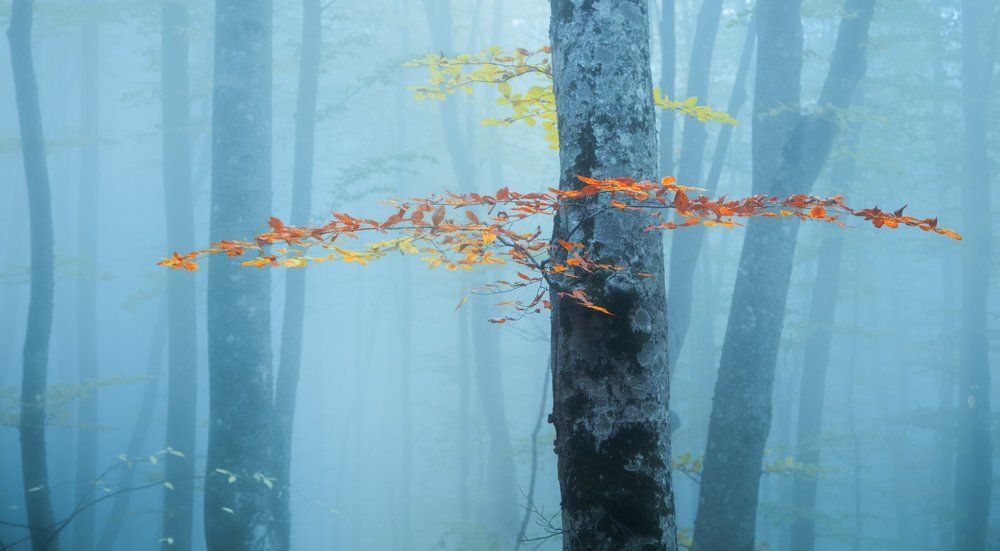 Уходящая осень