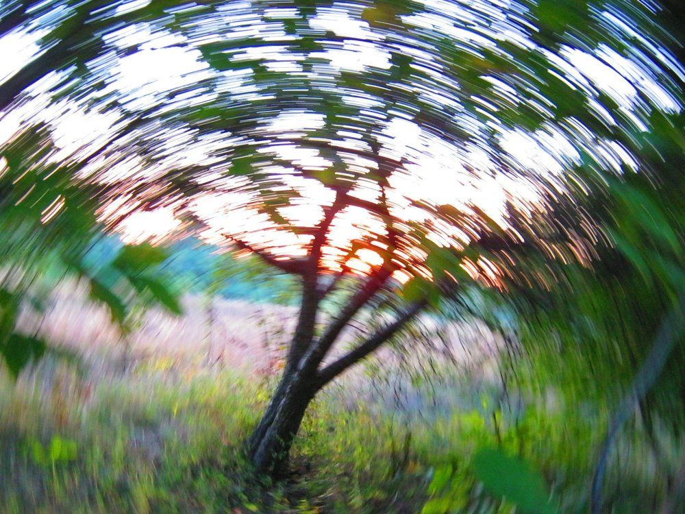 Закруточка.