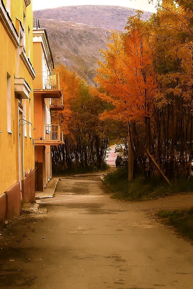 Родная улочка моя