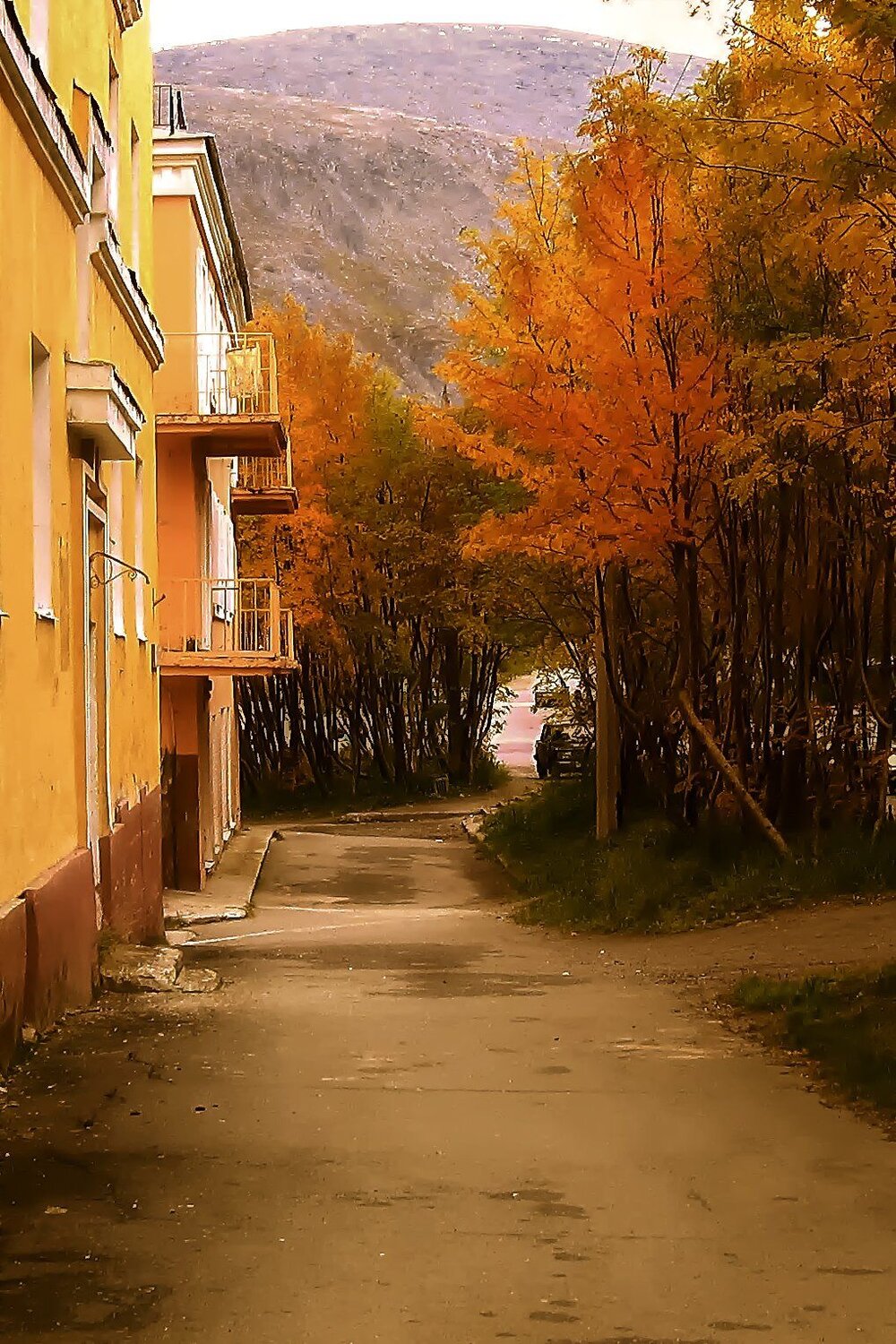 Родная улочка моя