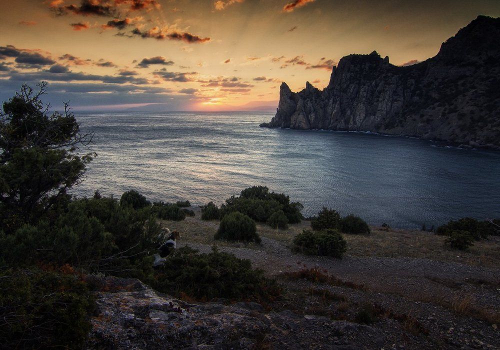 Как прекрасен Новый Свет.