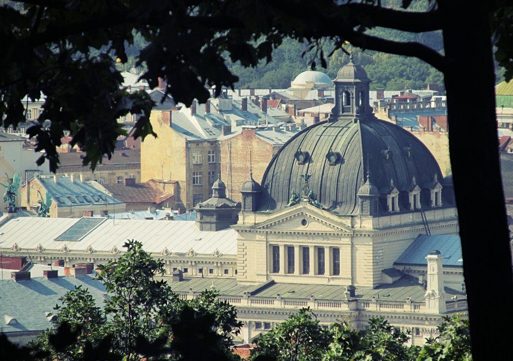 Місто Лева