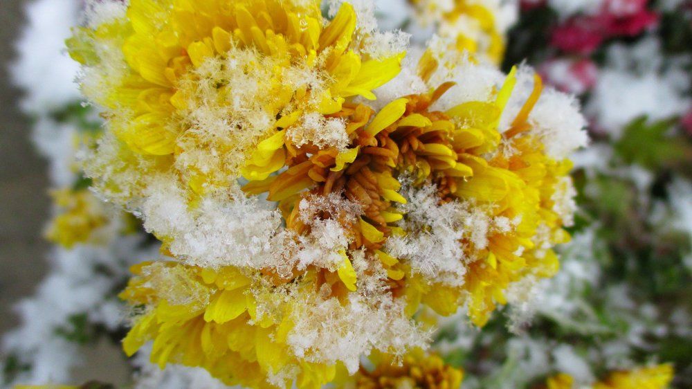 Photograph by Михалевич Машка