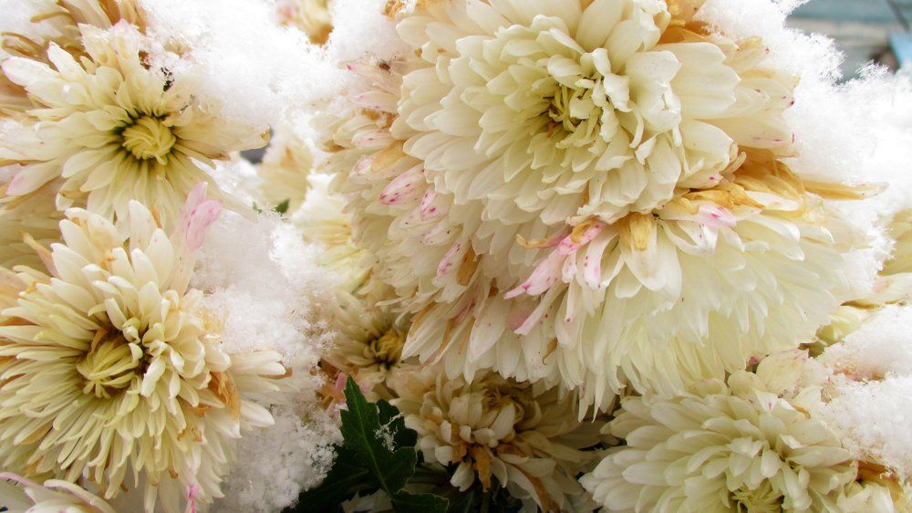 Photograph by Михалевич Машка