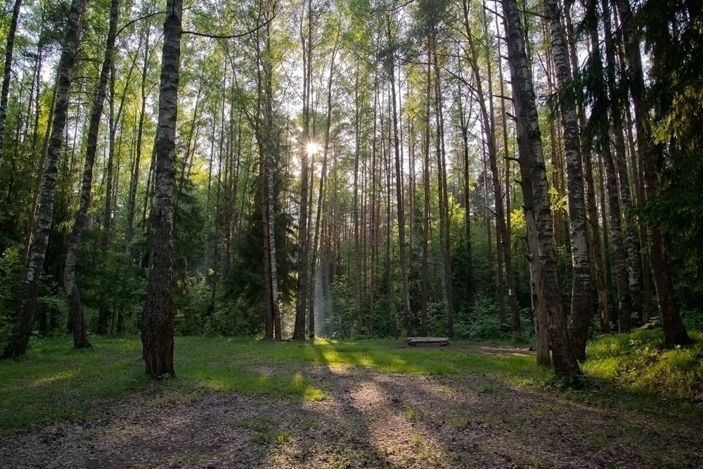 И такая тишь кругом