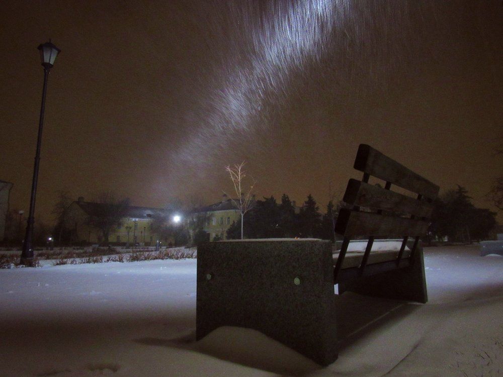 Ноябрьский снегопад