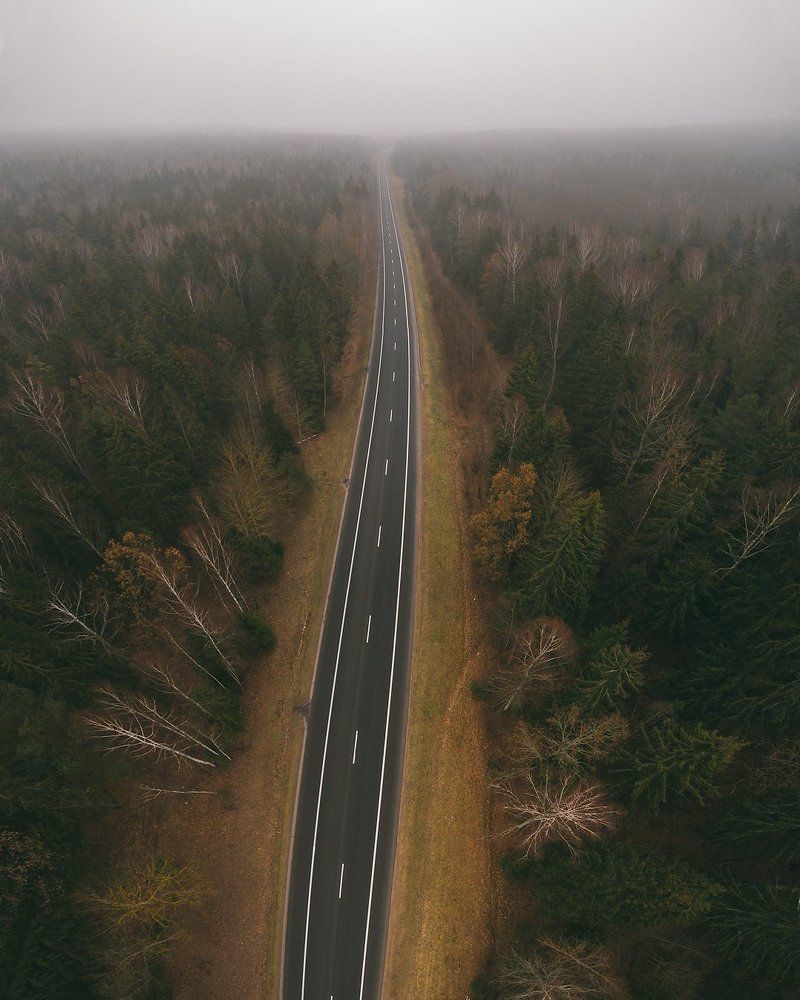 Дорога в туман