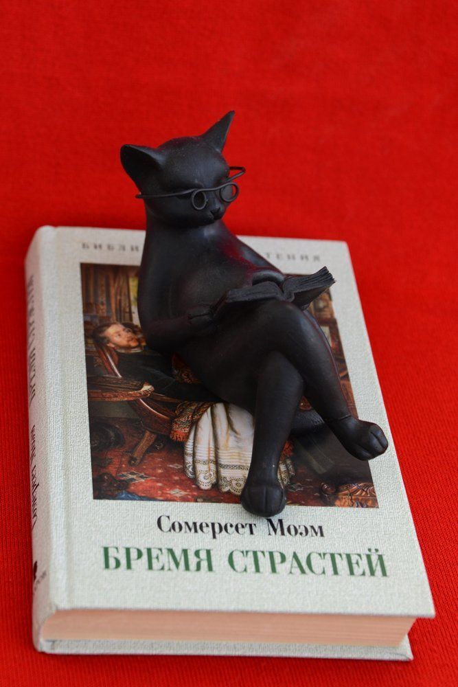 Кошка, которая читает сама по себе.