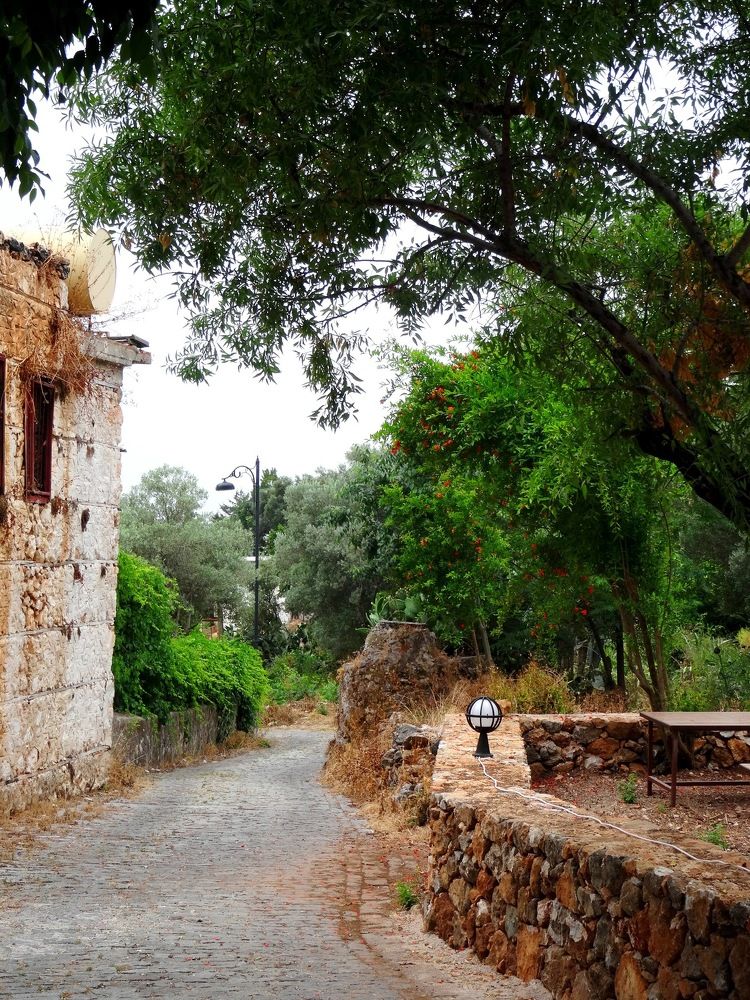 Photograph by Марина Раткун