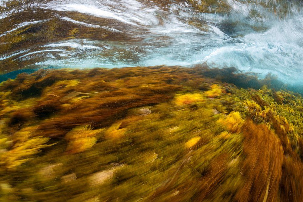 Подводные течения